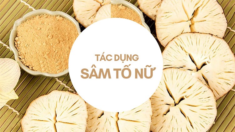 Sâm tố nữ có tác dụng gì?