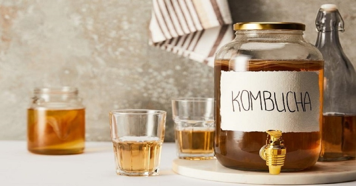 Trà Kombucha có xuất xứ từ Mãn Châu