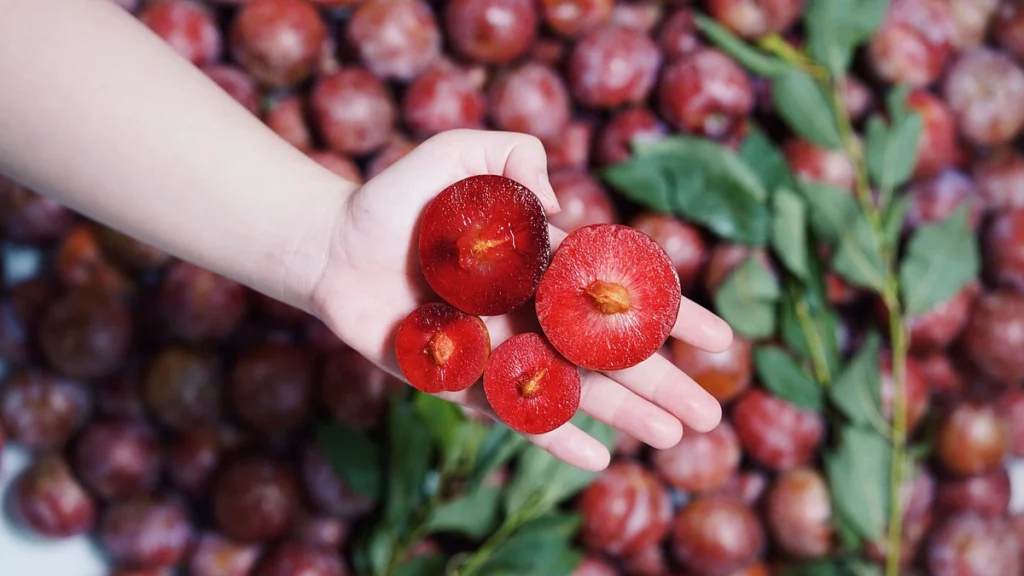 Ăn mận có nổi mụn không?